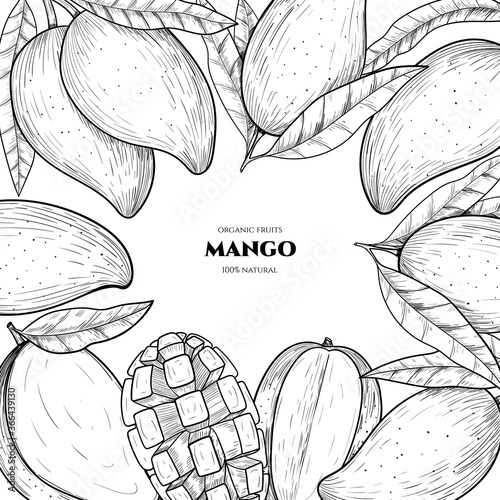 Vector frame with mango. Hand drawn. Vintage style