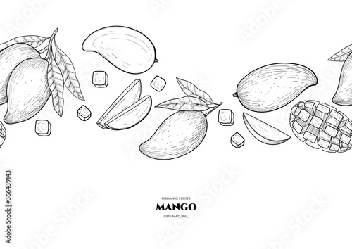 Vector frame with mango. Hand drawn. Vintage style