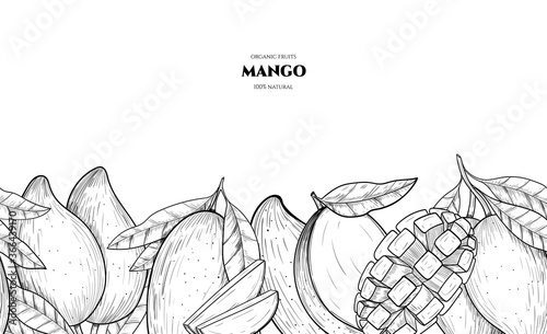 Vector frame with mango. Hand drawn. Vintage style