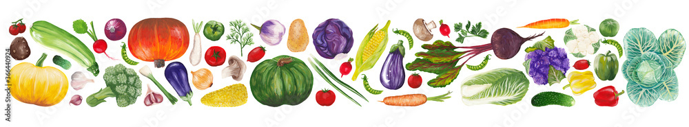 hand drawn fresh vegetables in peel with tops and leaves isolated on white. Raster collection of realistic vegetables painted in gouache lined in rectangular shape / border hand drawn fresh vegetables in peel with tops and leaves isolated on white. Raster collection of realistic vegetables painted in gouache lined in rectangular shape / border