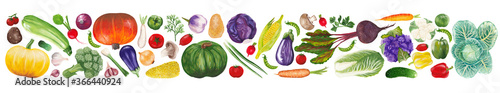 hand drawn fresh vegetables in peel with tops and leaves isolated on white. Raster collection of realistic vegetables painted in gouache lined in rectangular shape / border