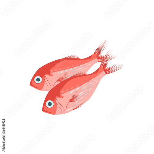 Sea bass, red snapper raw northern fish. Seafood menu, fish market design element. Organic natural healthy nutritious food cartoon vector illustration isolated on white background