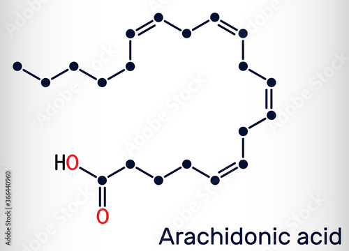 Arachidonic acid, AA, ARA molecule. It is unsaturated omega-6 fatty acid, is precursor in biosynthesis of prostaglandins, thromboxanes, leukotrienes. Skeletal chemical formula photo