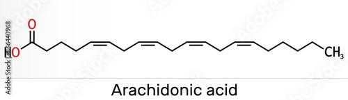 Arachidonic acid, AA, ARA molecule. It is unsaturated omega-6 fatty acid, is precursor in biosynthesis of prostaglandins, thromboxanes, leukotrienes. Skeletal chemical formula photo