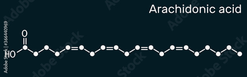 Arachidonic acid, AA, ARA molecule. It is unsaturated omega-6 fatty acid, is precursor in biosynthesis of prostaglandins, thromboxanes, leukotrienes. Dark blue background photo