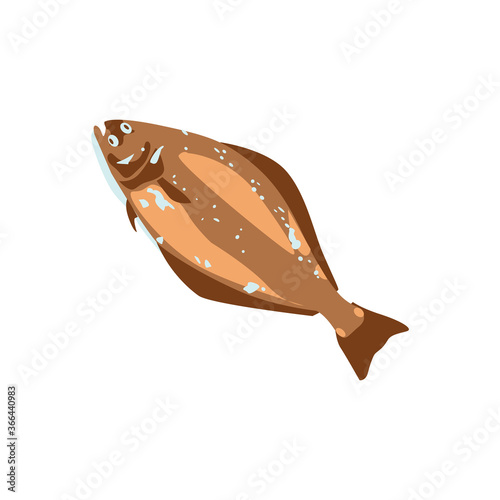 Flounder, halibut commercial marine fish species. Delicious fresh fish, seafood menu, fish market design element. Organic natural healthy nutritious food cartoon vector illustration isolated. photo
