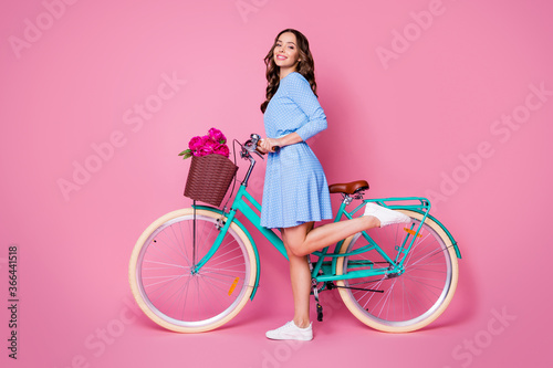 Fototapeta Naklejka Na Ścianę i Meble -  Full length body size profile side view of her she attractive lovely pretty cheerful wavy-haired lady florist gardener walking bike floral shop delivery isolated pink pastel color background