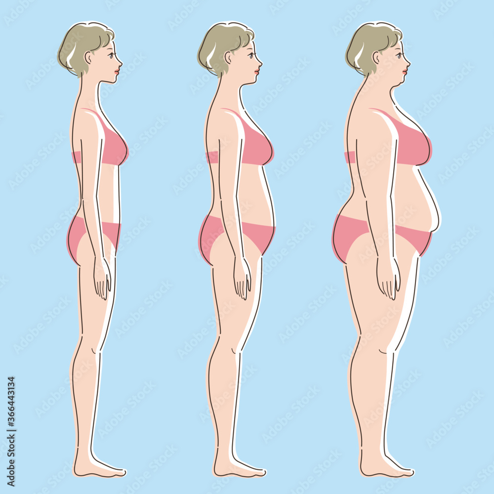 Slender, medium, and overweight. Side whole body of white skinned female. Concept of health, beauty, and diet. Vector illustration. Slender, medium, and overweight. Side whole body of white skinned female. Concept of health, beauty, and diet. Vector illustration.