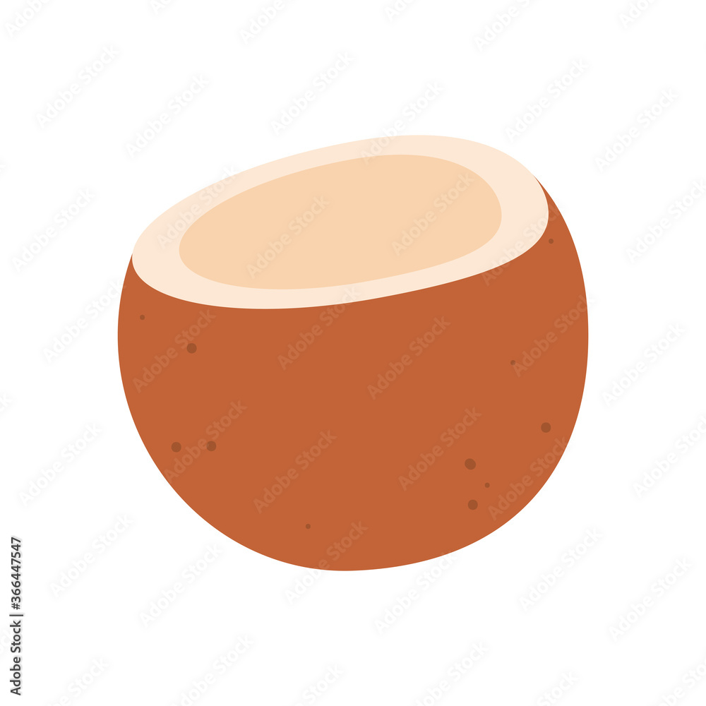 coconut fruit flat style icon vector design coconut fruit flat style icon vector design
