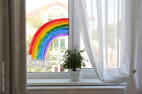 Picture of rainbow on window and houseplant indoors. Stay at home concept