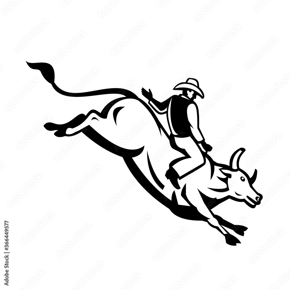American Bull Rider Riding a Bucking Bull Retro Black and White Stock ...