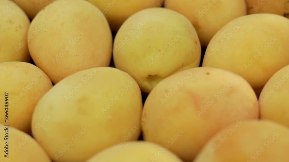 Fresh Apricots are isolated in Close-up. Rotation. The concept of Proper and Healthy Vegetarian Food. Fresh Apricots are isolated in Close-up. Rotation. The concept of Proper and Healthy Vegetarian Food.
