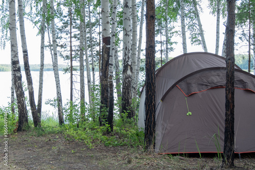 Tent in a birch forest. Tourist camp by the lake.