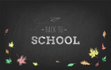 Back to School. Chalkboard black background with hand-drawn text, paper plane and autumn leaves. Blackboard creative vector illustration