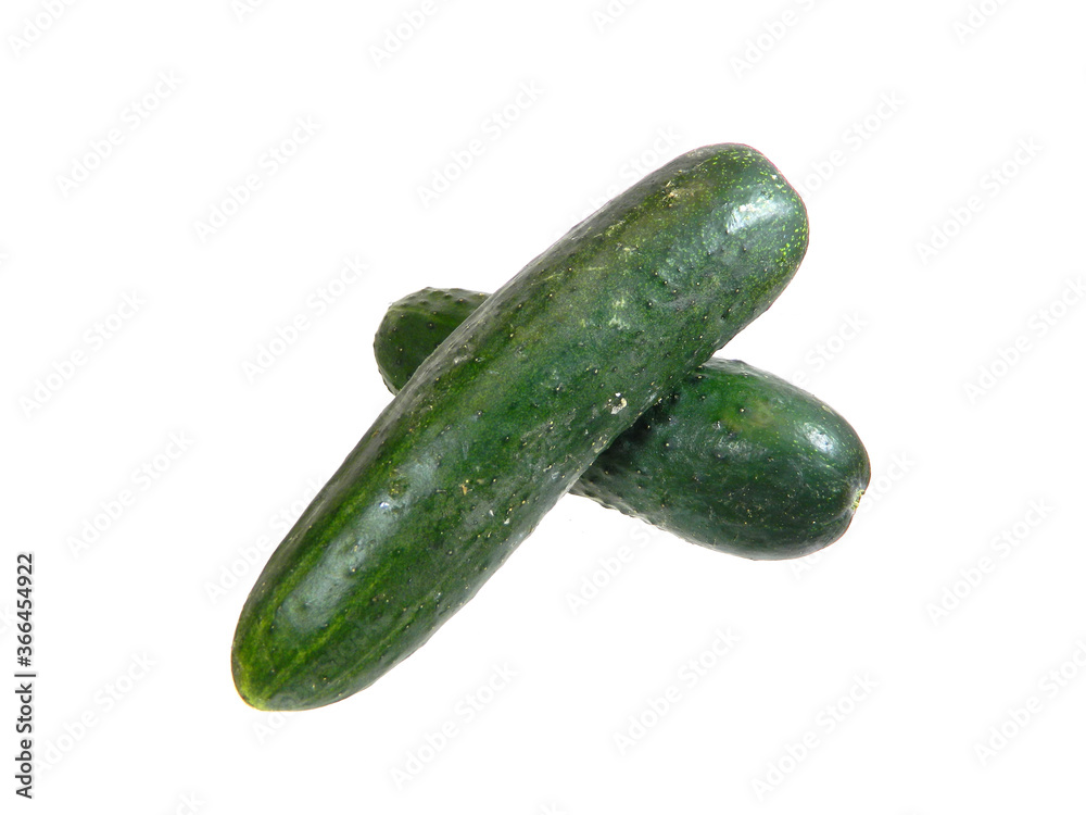fresh cucumber isolated on white background fresh cucumber isolated on white background