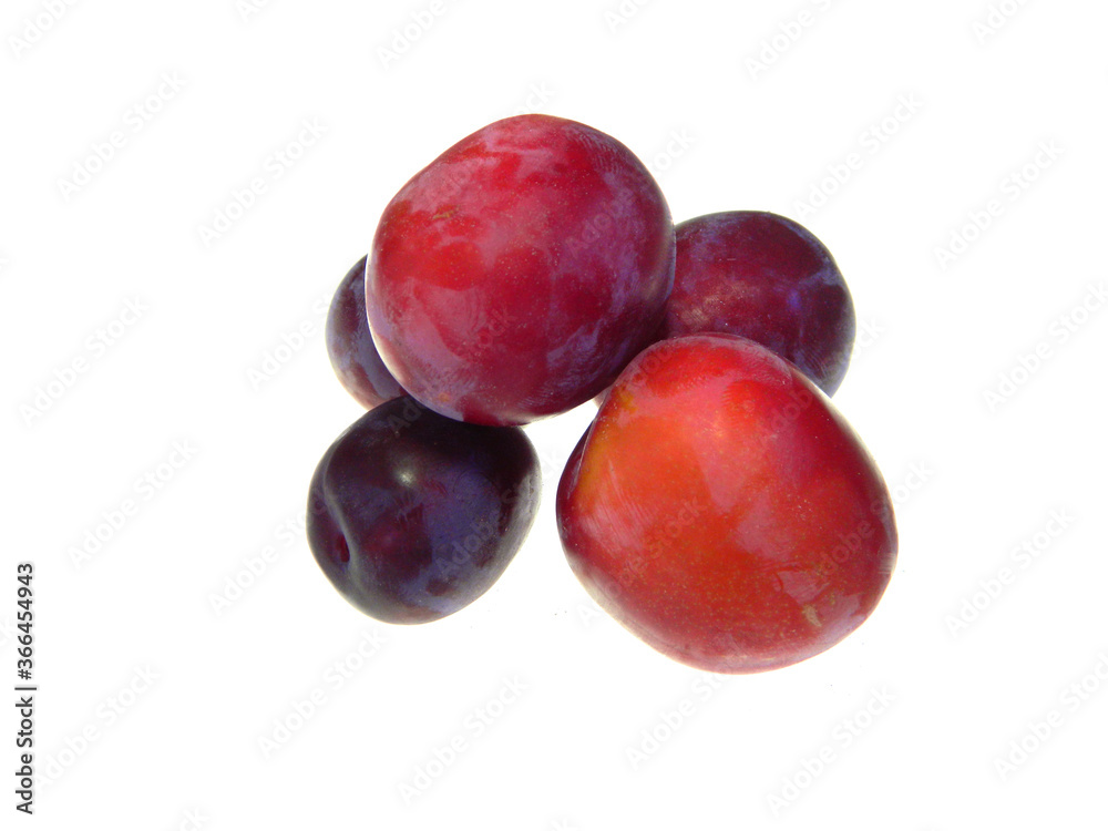 red plum isolated on white background