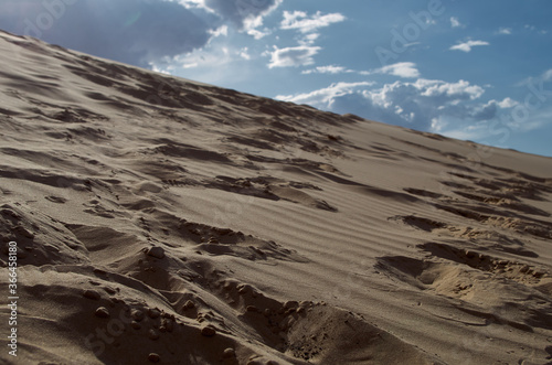 Samalayuca desert in Chihuahua photo