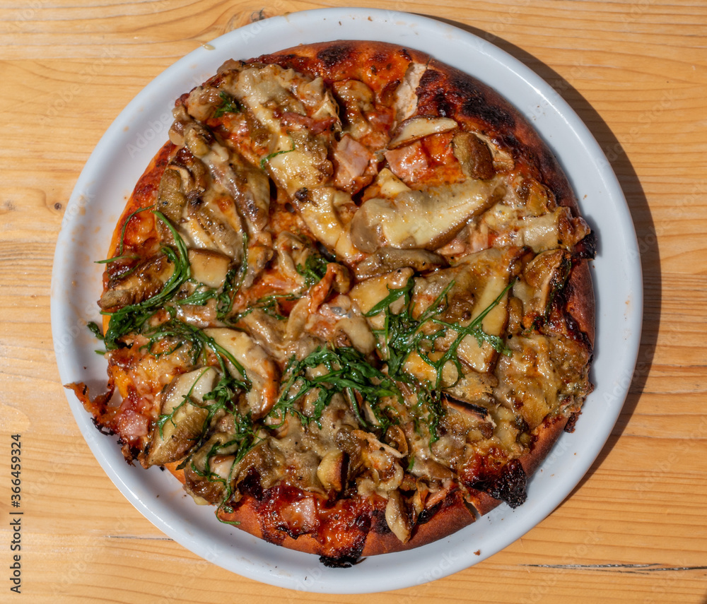 STEINPILZGERICHT . SCHWAMMERLGULASCH . PORCINI DISH STEINPILZGERICHT . SCHWAMMERLGULASCH . PORCINI DISH