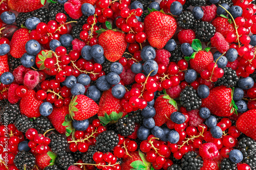 Mixed wild fresh berries background