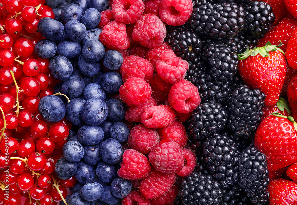Mixed wild fresh berries background Mixed wild fresh berries background