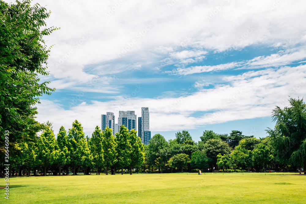Obraz premium Seoul forest park with modern skyscrapers in Korea
