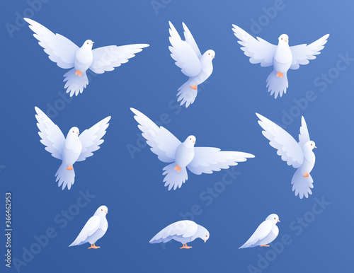 White Pigeons Doves Set © Macrovector