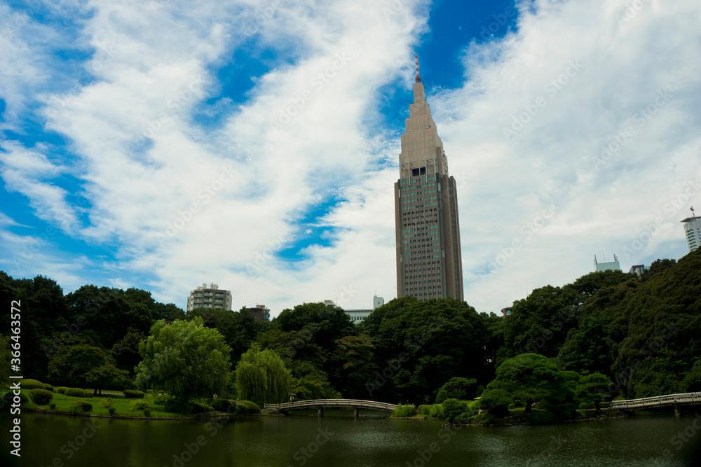 Japan, Tokyo Shinjuku Goyen City Park, view of city park with greenery, lake and skyscraper ub background