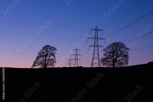 Trees and pylons in the evening sky