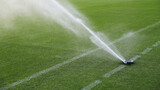 Automatic watering system at a sports stadium. Watering natural lawn grass