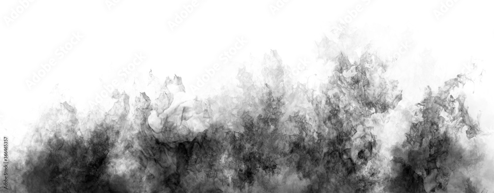 Fototapeta premium Panoramic view black and white fire on isolated background. Perfect explosion effect for decoration and covering on black background. Concept burn flame and light texture overlays.