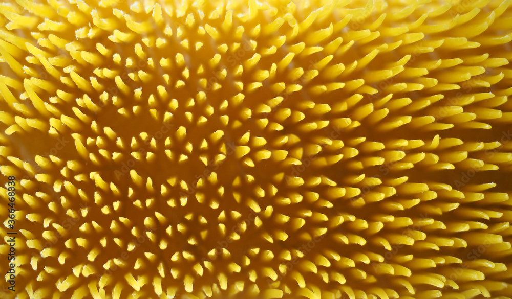 abstract yellow texture background abstract yellow texture background