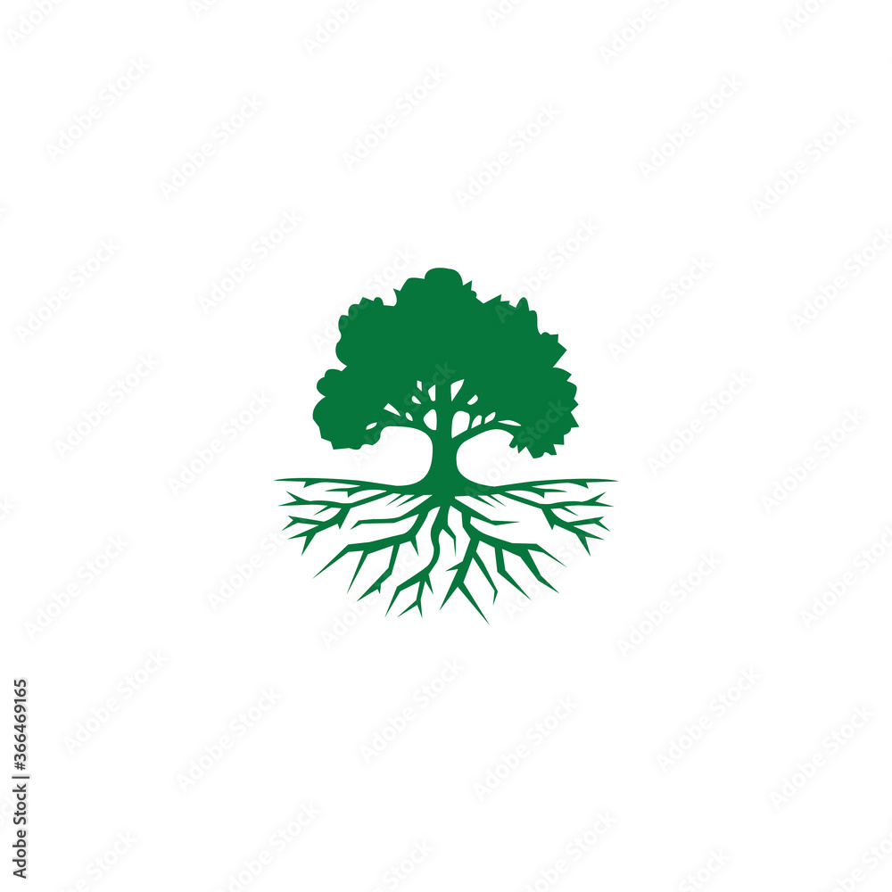 Fototapeta premium Tree Oak Logo