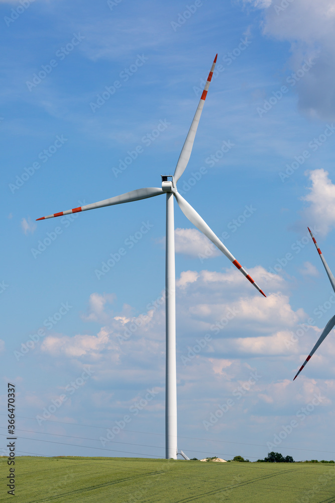 Fototapeta premium Wind farm, ecological windmills producing electricity without burning fuel