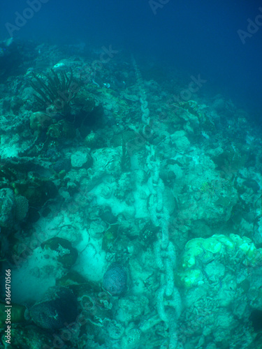            under the sea chain caribbean sea Bonaire    © gustavo