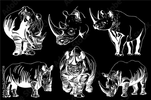 Graphical hand-drawn set of rhinos isolated on black background,vector engraved  illustration