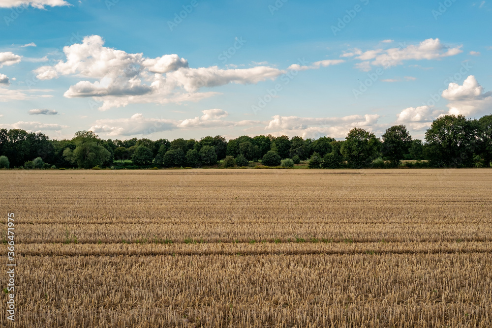 Frisch gemähtes Feld