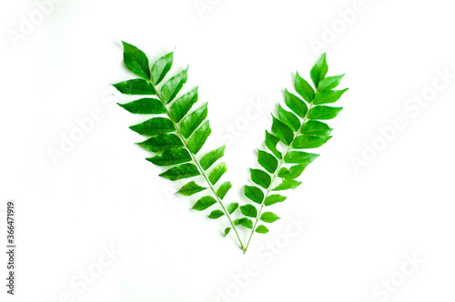 Two Curry Leaves Creating the Shape of Letter V