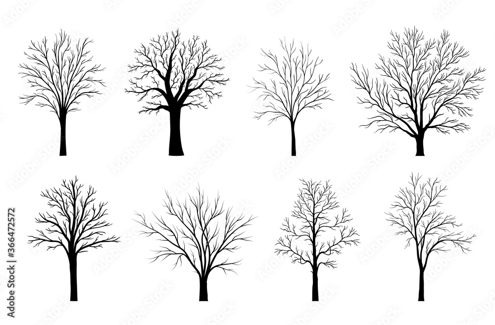 Fototapeta premium Trees silhouettes set isolated on white background.. Vector illustration