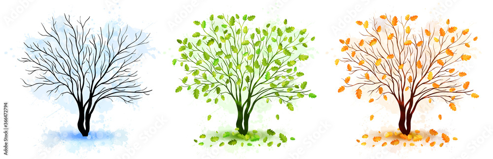 Tree seasons nature background. Vector illustration Tree seasons nature background. Vector illustration