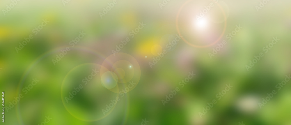 Fototapeta premium Green blurred bokeh background Green blurred bokeh background. Luminous spring colors. Abstract background for an ecological environmental.