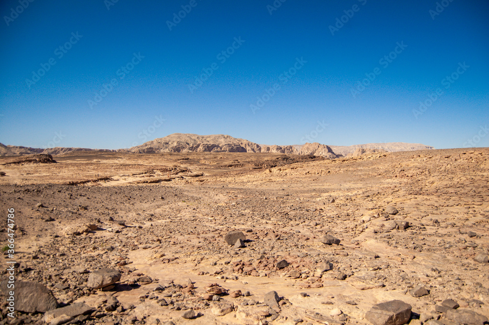 desert landscape in the desert