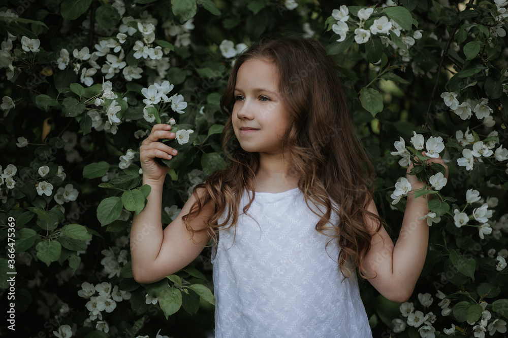 Portrait of a happy child on a background of white flowers growing on a tree . A small dreamy girl with long hair in a white dress against the background of green grass smiles and looks into the frame Portrait of a happy child on a background of white flowers growing on a tree . A small dreamy girl with long hair in a white dress against the background of green grass smiles and looks into the frame