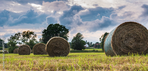 Sunset over the Swedish landscape with rolled grass in the fields that the farmers work with during the month of July