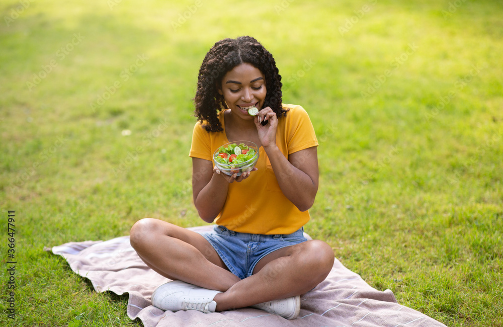 Healthy diet. Slim African American lady eating tasty vegetable salad on picnic blanket at park. Panorama Healthy diet. Slim African American lady eating tasty vegetable salad on picnic blanket at park. Panorama