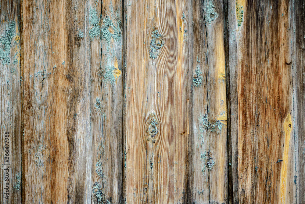 Obraz premium The texture of the building's surface is made of old wooden planks of gray and brown. Vertical direction of boards