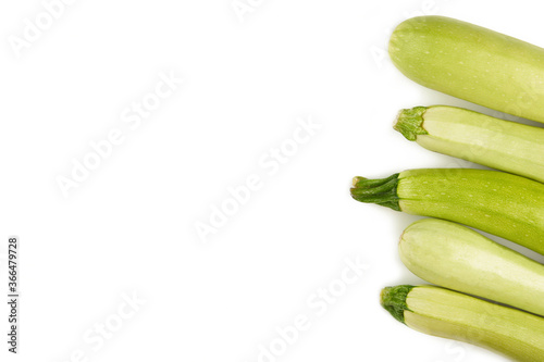 Squash vegetable marrow zucchini isolated on white background photo