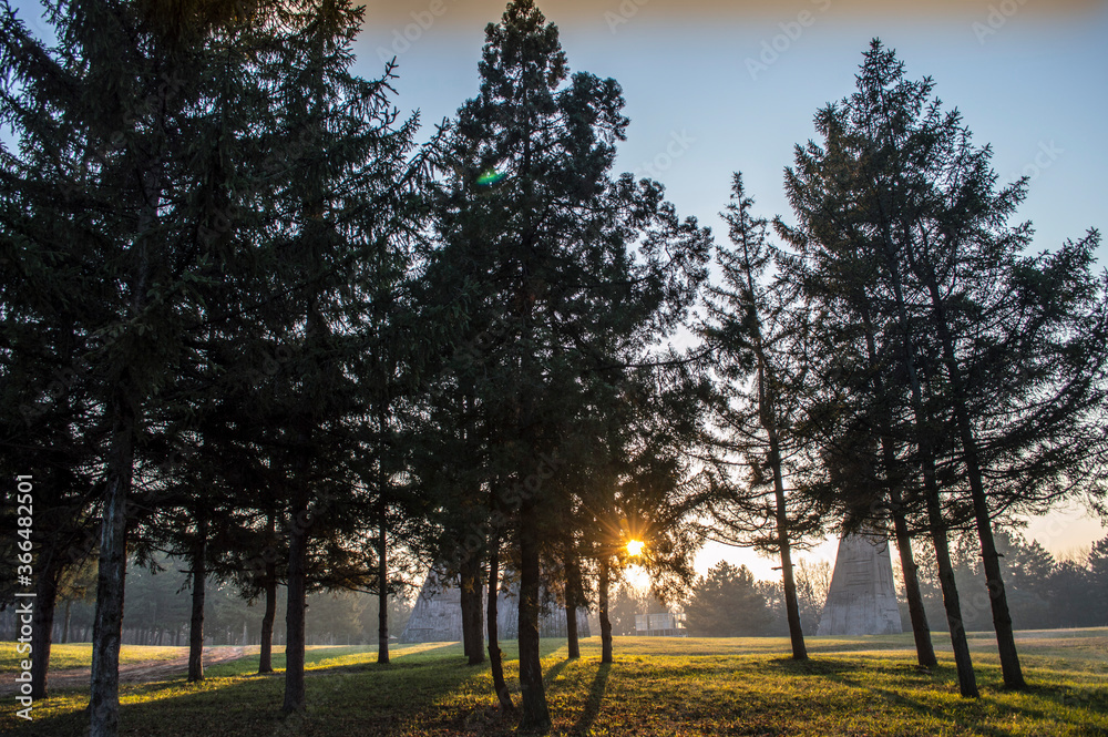 Beautiful landscape in park with tree and green grass field at morning Beautiful landscape in park with tree and green grass field at morning