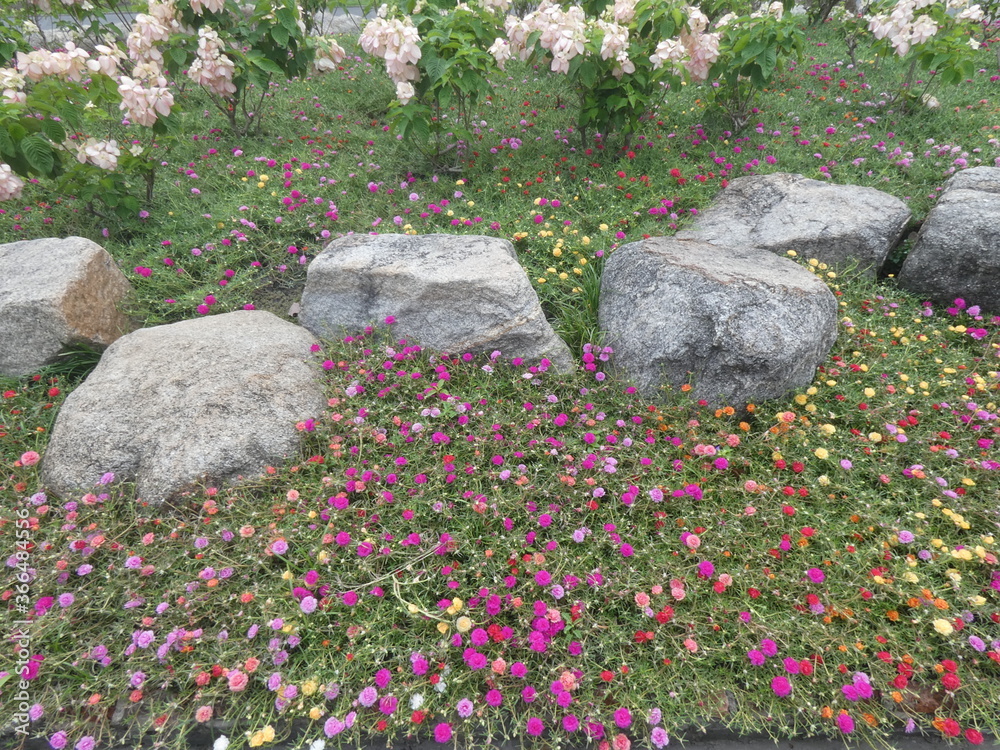 Multi colored flowers and stones