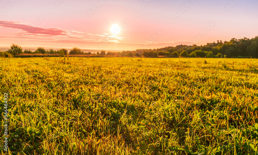 Obraz premium Scenic view at beautiful sunrise in a far misty valley, bright crimson cloudy sky , trees and golden sun rays with glow, summer morning field landscape