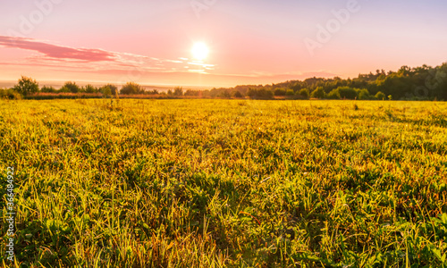 Scenic view at beautiful sunrise in a far misty valley  bright crimson cloudy sky   trees and golden sun rays with glow  summer morning  field landscape